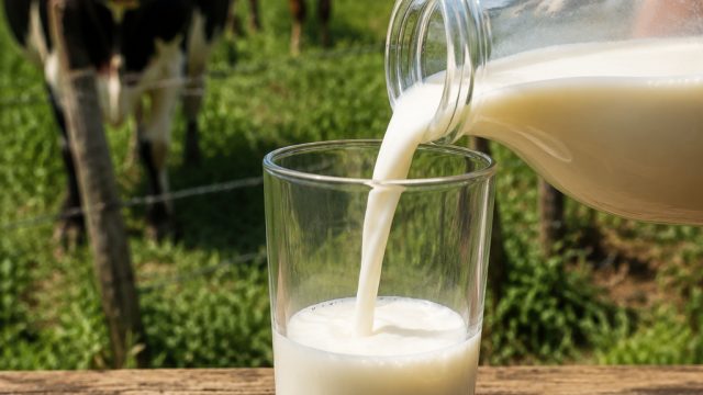 Health Alert: Rising Concerns Over Raw Milk Safety in Louisiana | mega money casino, betwin asia slo