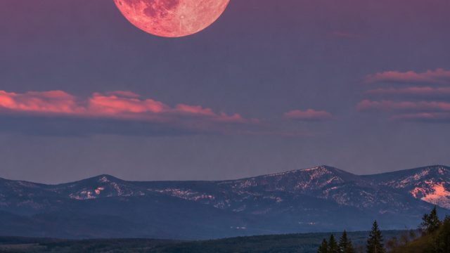 Don't Miss the Stunning Strawberry Moon This June | game mahjong ways, wii sports